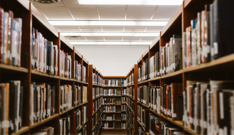Éducation et campus